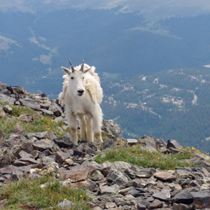 Quandary Peak (51).jpg